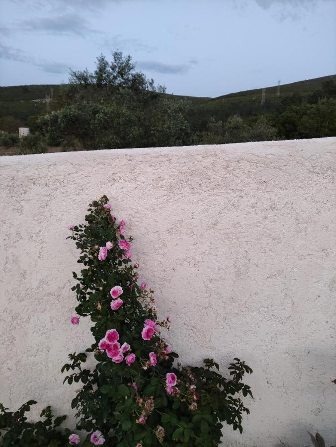 Casa Dos Vales 11 Villa Porto de Mós Kültér fotó